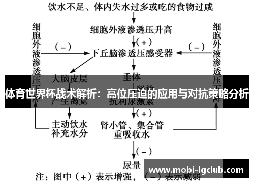体育世界杯战术解析：高位压迫的应用与对抗策略分析
