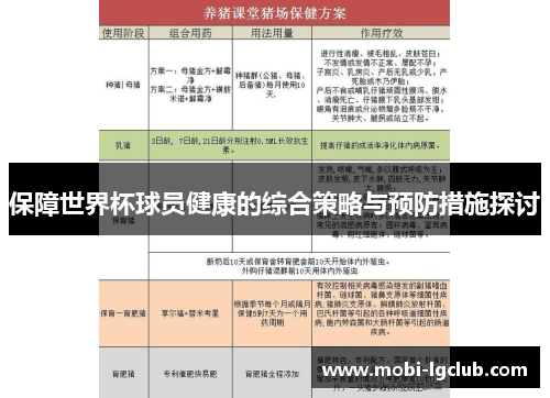 保障世界杯球员健康的综合策略与预防措施探讨