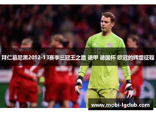 拜仁慕尼黑2012-13赛季三冠王之路 德甲 德国杯 欧冠的辉煌征程